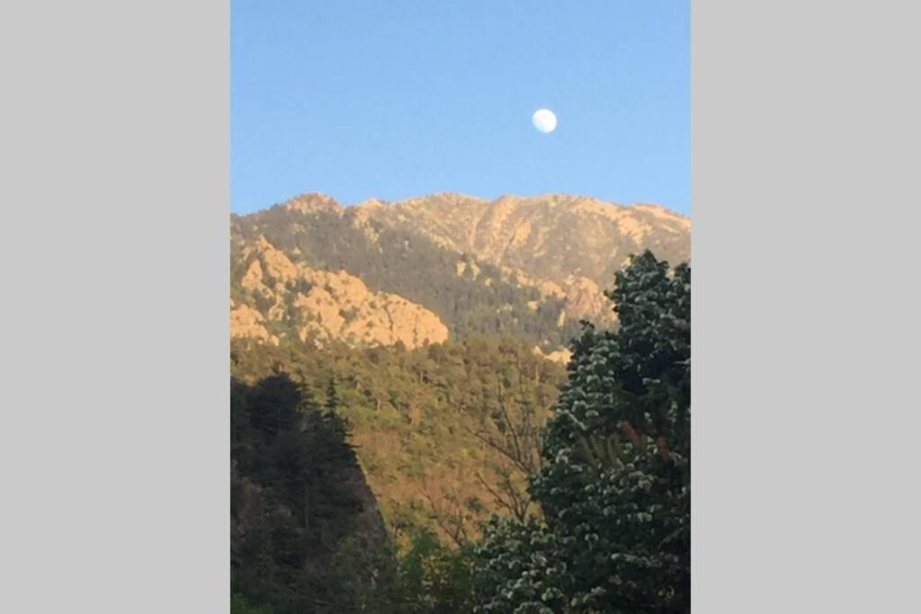 Les Lavandières Vernet-les-Bains Extérieur photo